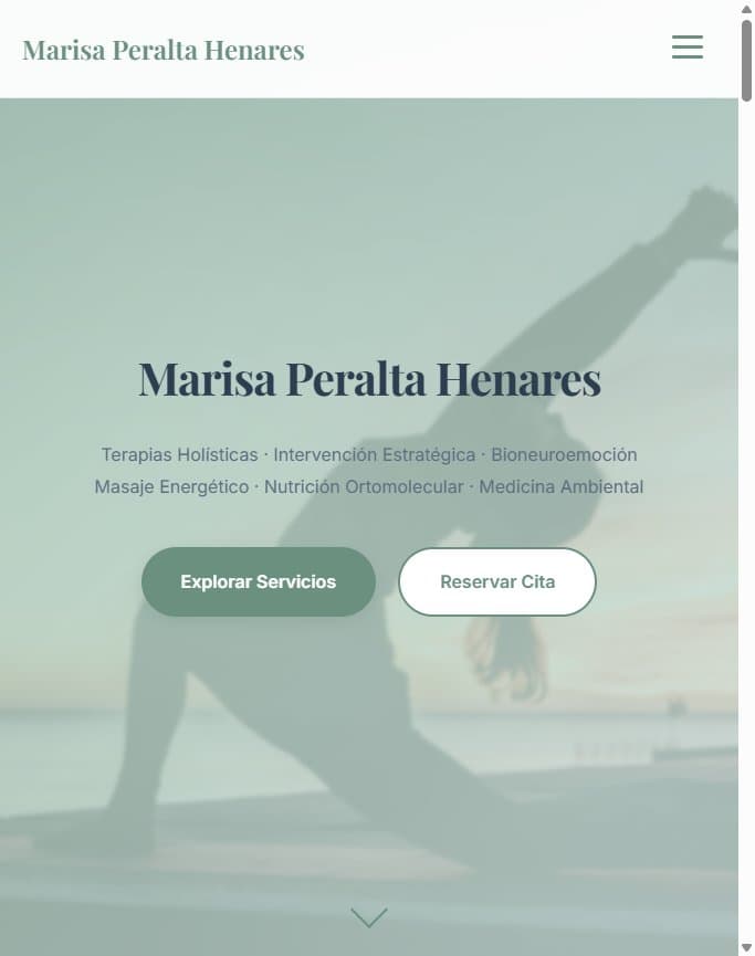 Marisa Peralta Henares project